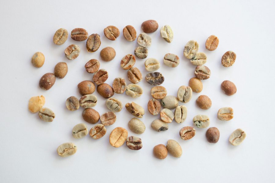 コーヒー生豆に含まれる欠点豆の種類