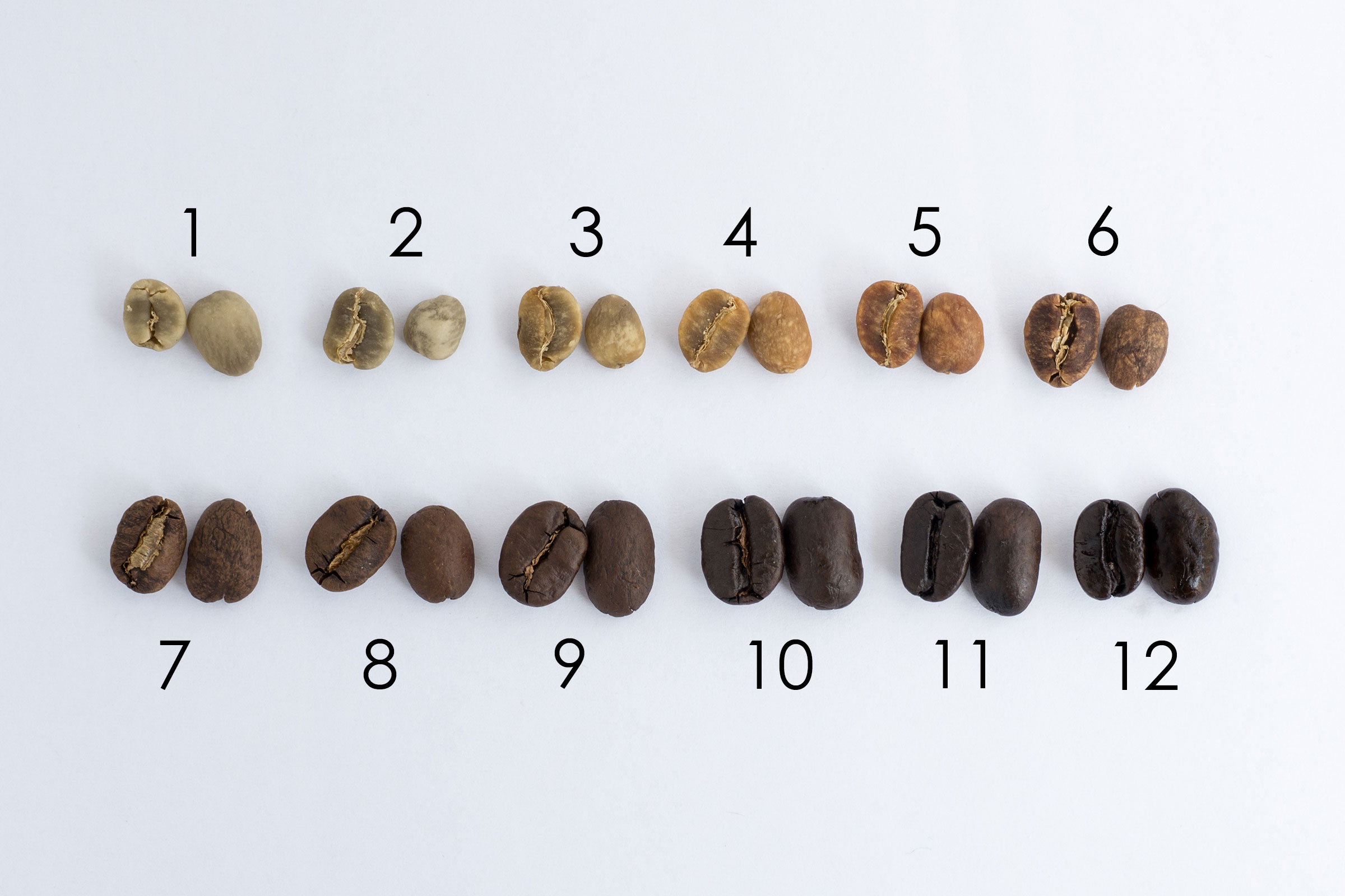 マンデリンの焙煎段階ごとの見た目や色の変化 - WINGBEAT COFFEE ROASTERS